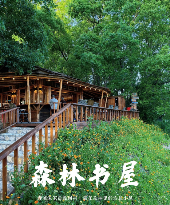 图 小红书网友@吹泡泡的鱼（已获授权，转载请联系本人）