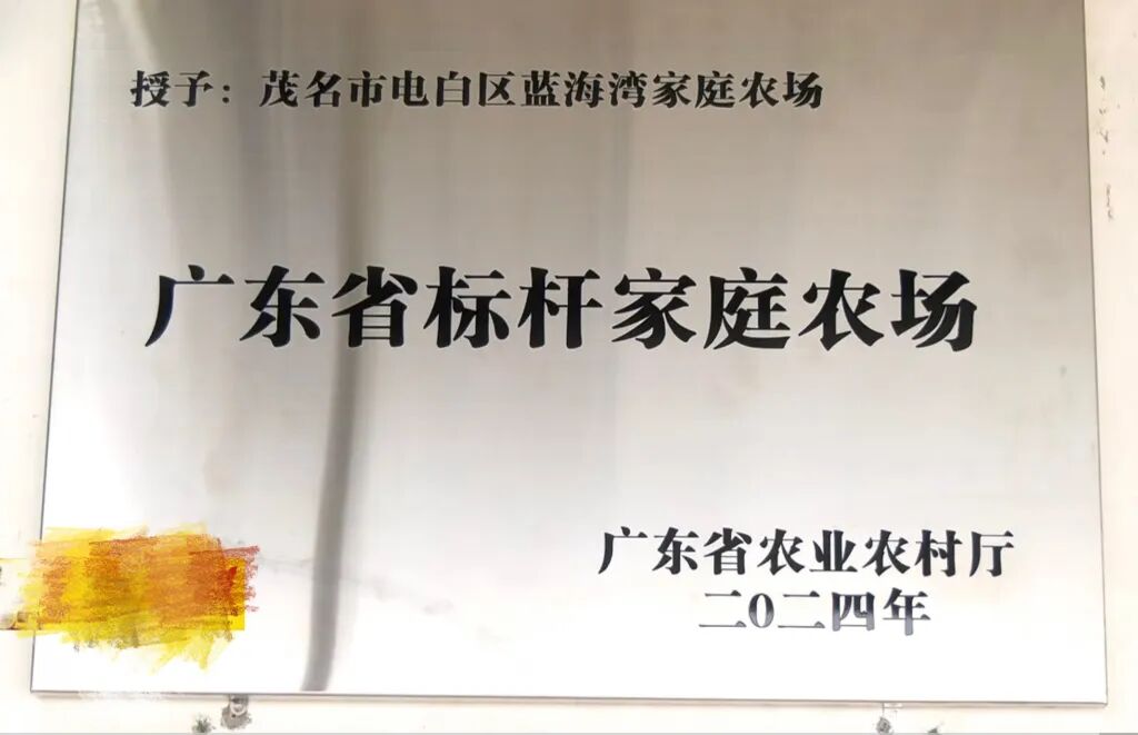 2024年，蓝海湾家庭农场被广东省农业厅评为广东省标杆家庭农场。