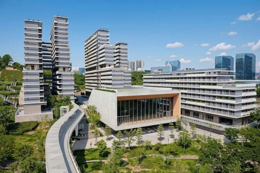 深圳各高校纷纷大幅扩招,扩招幅度最大可达百分之一百一十八