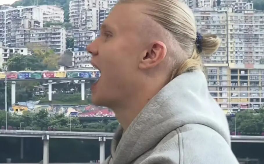 哈兰德吃