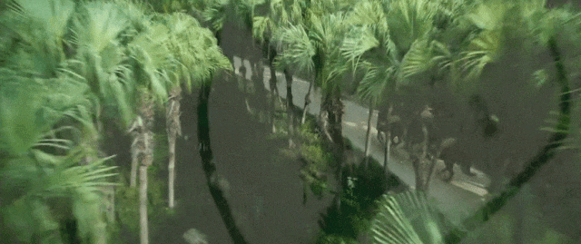 △电影《长安的荔枝》中，“荔枝使”运送荔枝所经的岭南驿道便取景于江门新会南坦岛的葵林生态湿地公园。影片截图