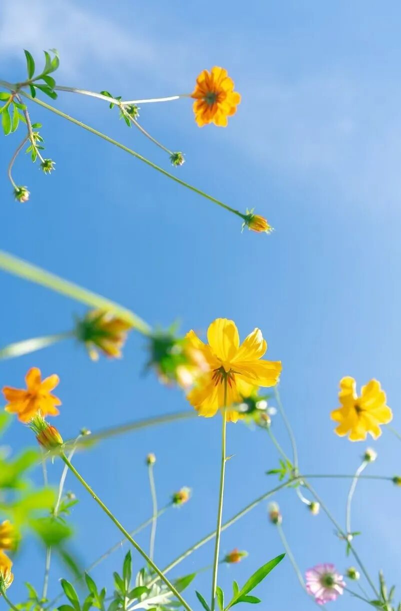 七言｜旧人无需知近况，新人不必问过往