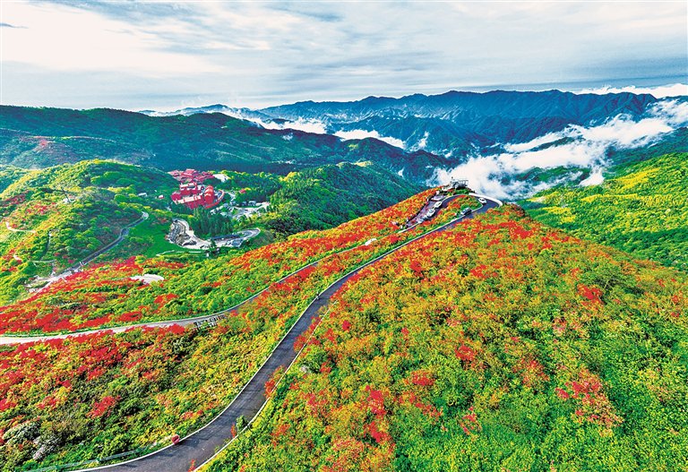 湖南永州双牌县阳明山国家森林公园杜鹃花海景色。新华社发