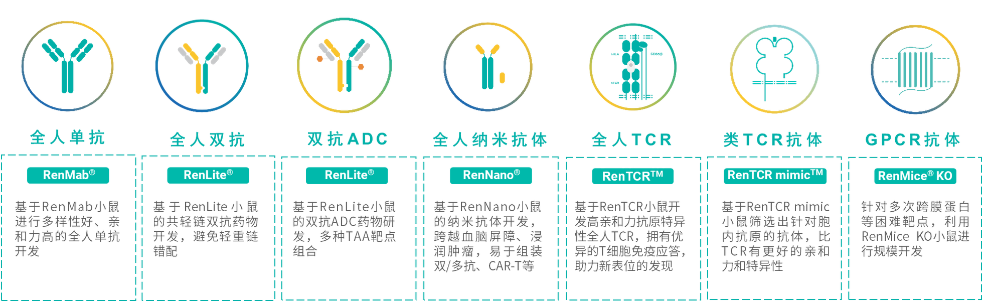 （RenMice®系列全人抗体）