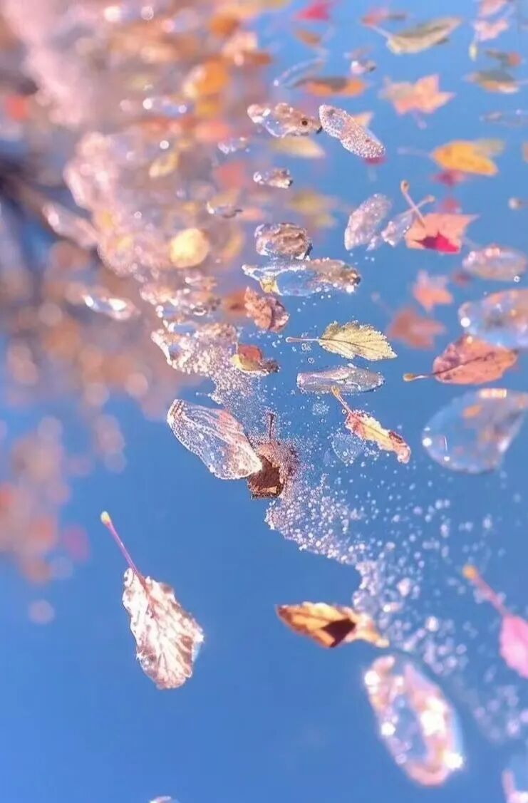 七言｜一生不愁吃穿，唯独缺少阳光和爱