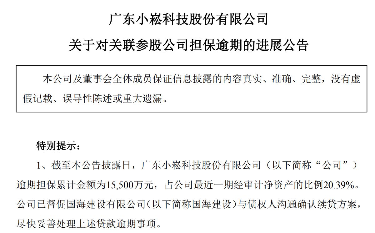图片来源：小崧股份公告