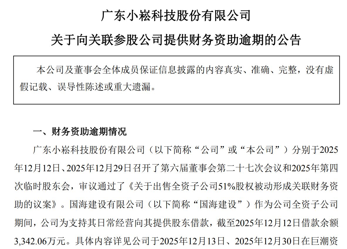 图片来源：小崧股份公告