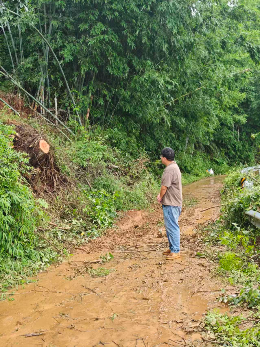 前往灵山县的道路 受访者供图