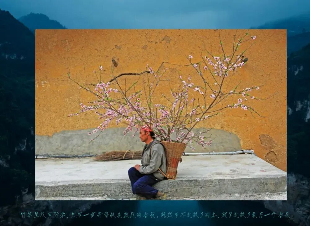 ▲触发邹杨创作的照片。《一百七十五米深的春天》短片截图