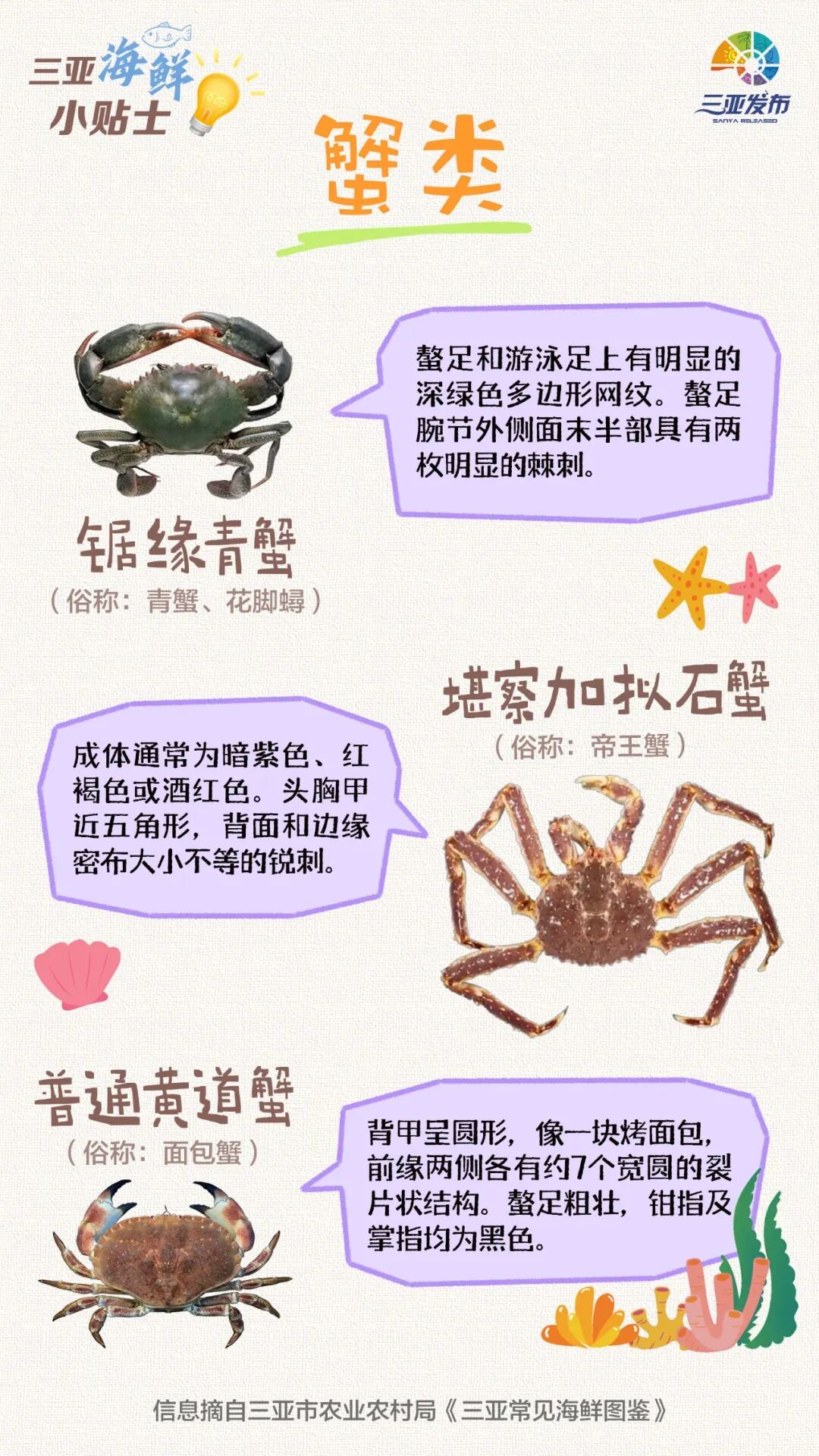 事关三亚中小学转学！别 看 我 只 是 一 只 羊~今晚涨价！来源：三亚市公共交通集团有限公司
