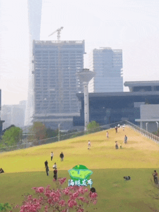 琶洲网红草坪上就常常“长满了来散班味儿的年轻人”。图片来源：海珠发布