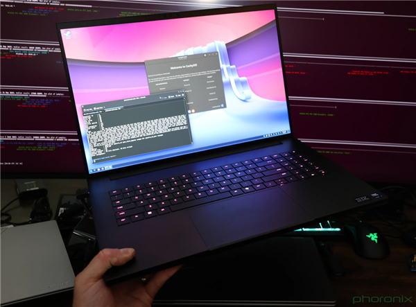 Windows真不差：实测AI性能3.4倍碾压Linux
！