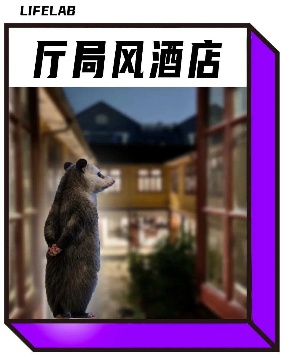 本文无广，请放心食用