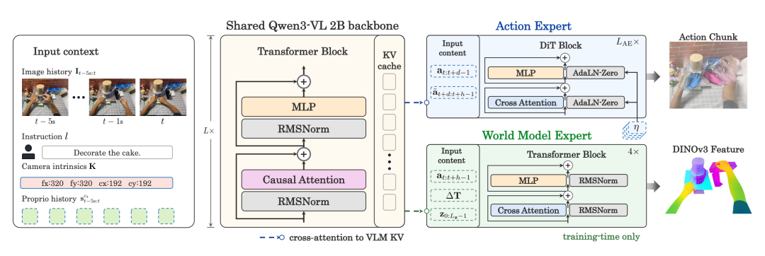 EgoSteer 概览：一种结合世界模型增强的 VLA 模型，用于实现可控的灵巧操作。