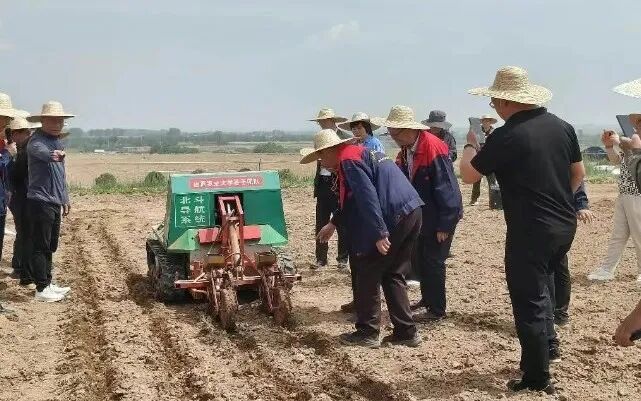 智能机器人在播种谷子