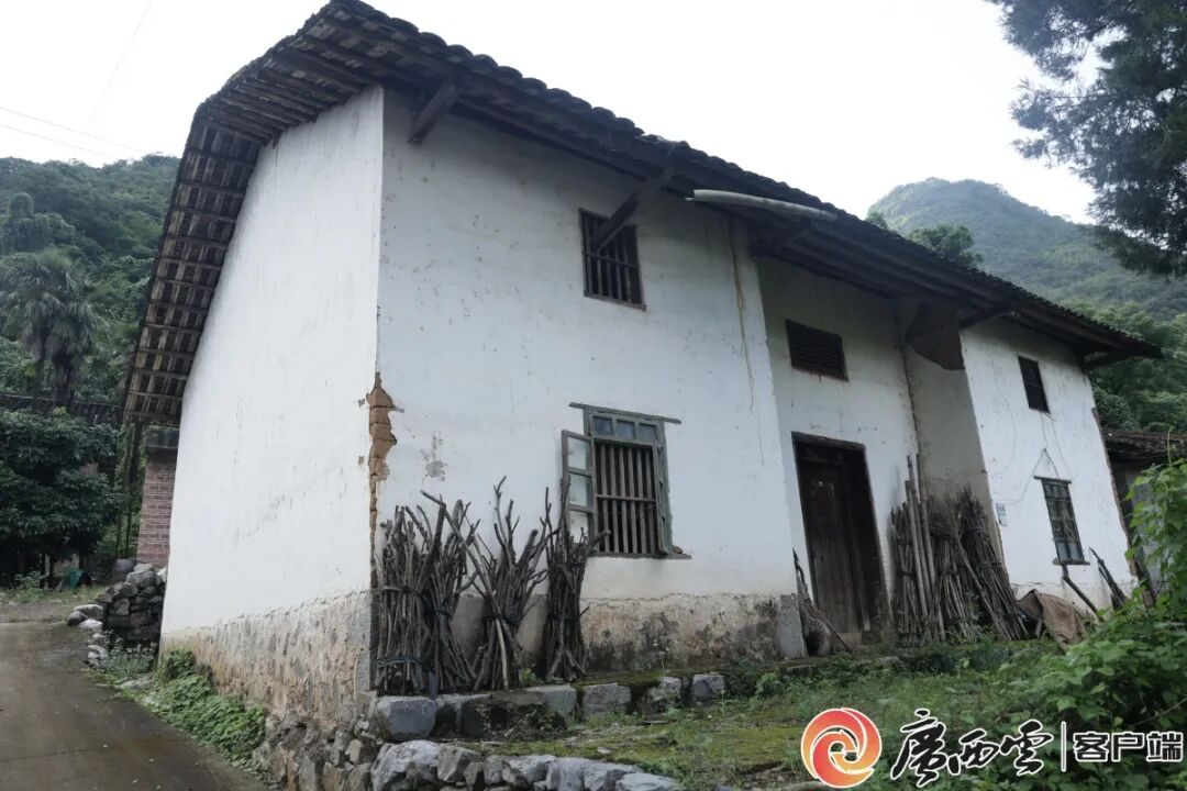 特稿｜王的猜想_https://www.izongheng.net_人物_第2张
