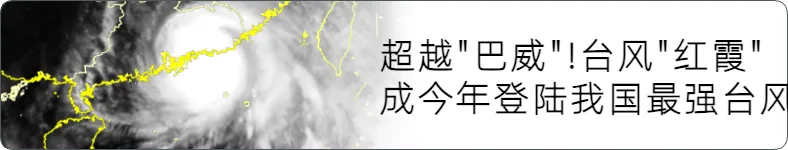 来源 东莞日报、新京报