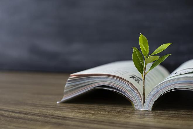 Projects Related to Artificial Intelligence Account for About 12%! Approval of Educational Research Projects by the Ministry of Education for 2026