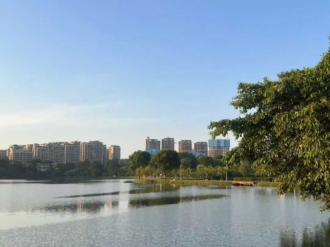 从松湖烟雨能看到华润项目。乐居摄