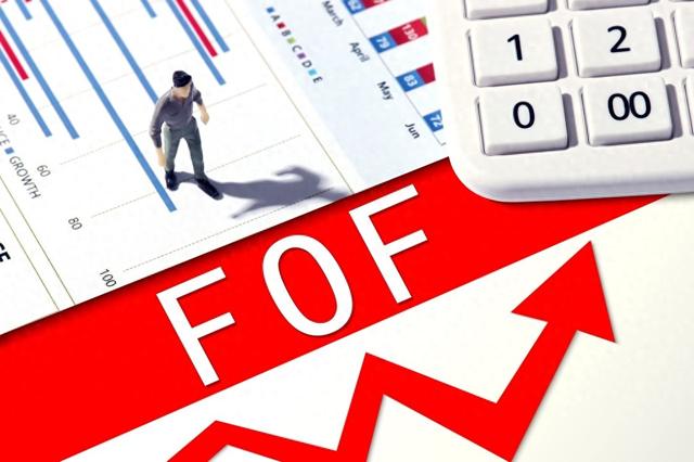二季度公募FOF持续吸金,重仓热门赛道ETF次数提升