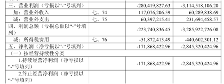 资料来源：公司半年报