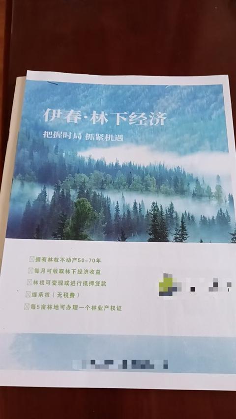 王诚（化名）公司虚假项目的宣传单 北京市海淀区人民检察院供图