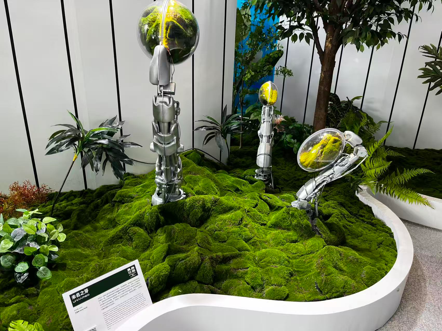 WRC2026探馆｜走进“具身花园”：这里的机器人，不只长得像人_新浪财经_新浪网