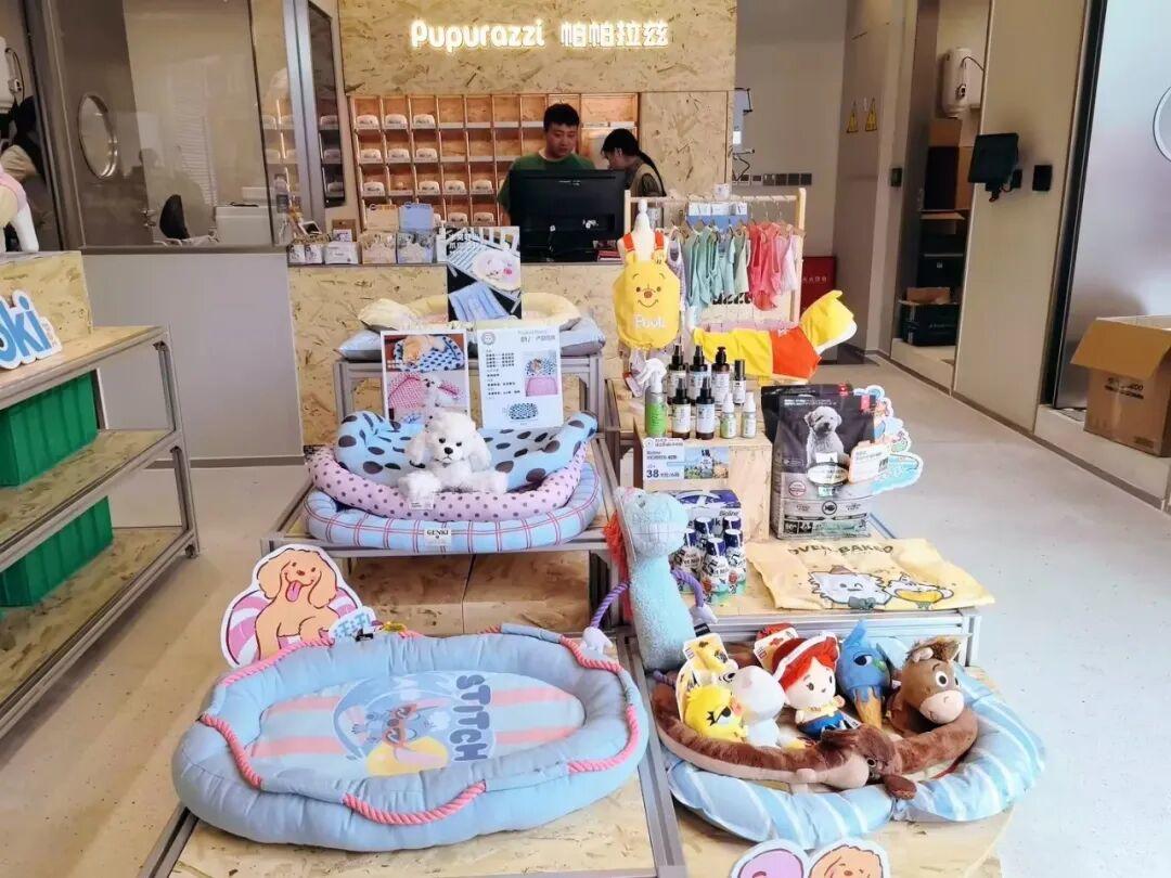 全国首店,落地大魔方!成都这家宠物连锁,偏不跟电商抢生意_新浪科技_新浪网
