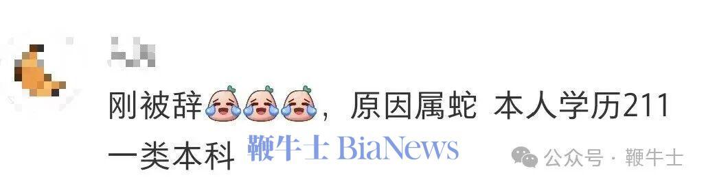 评论区中，有网友留言称“刚被辞，原因属蛇，本人学历211一类本科”；