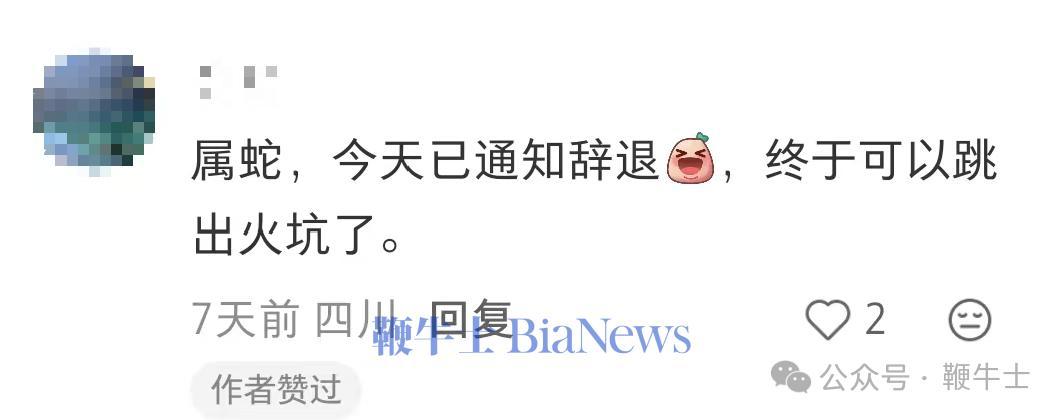 评论区中，有网友留言称“刚被辞，原因属蛇，本人学历211一类本科”；