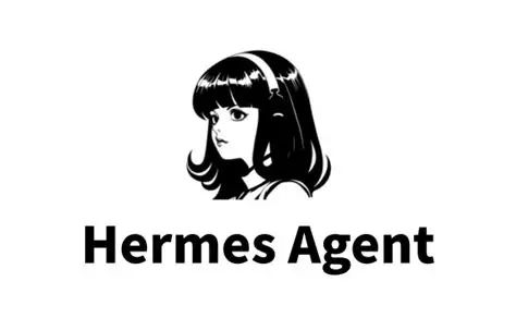 图片来源：Hermes