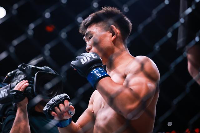 ufc视频比赛下载