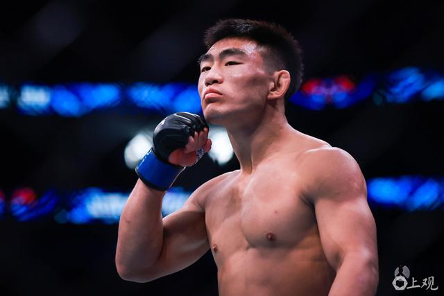 ufc终极格斗冠军2下载