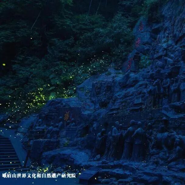 活动照片