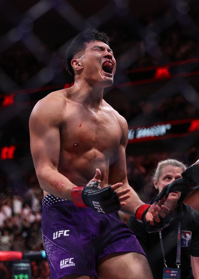 ufc终极格斗冠军2下载