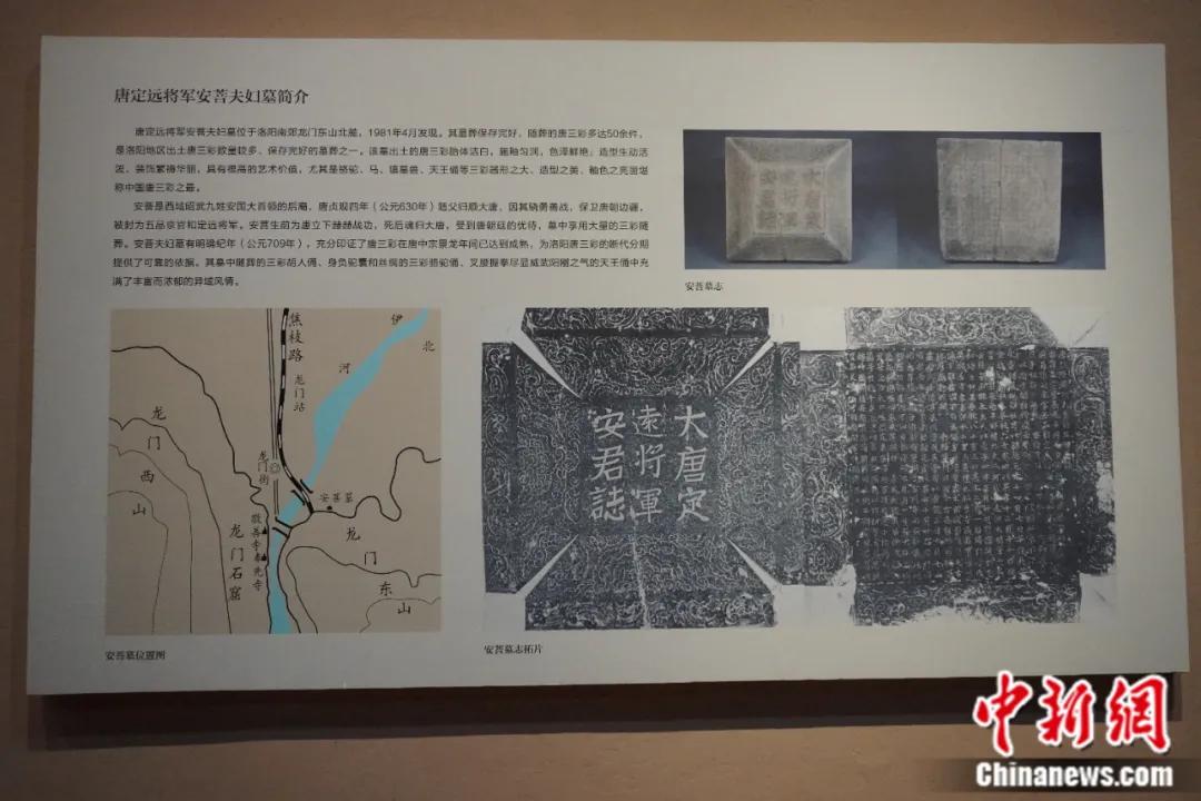 洛阳博物馆安菩夫