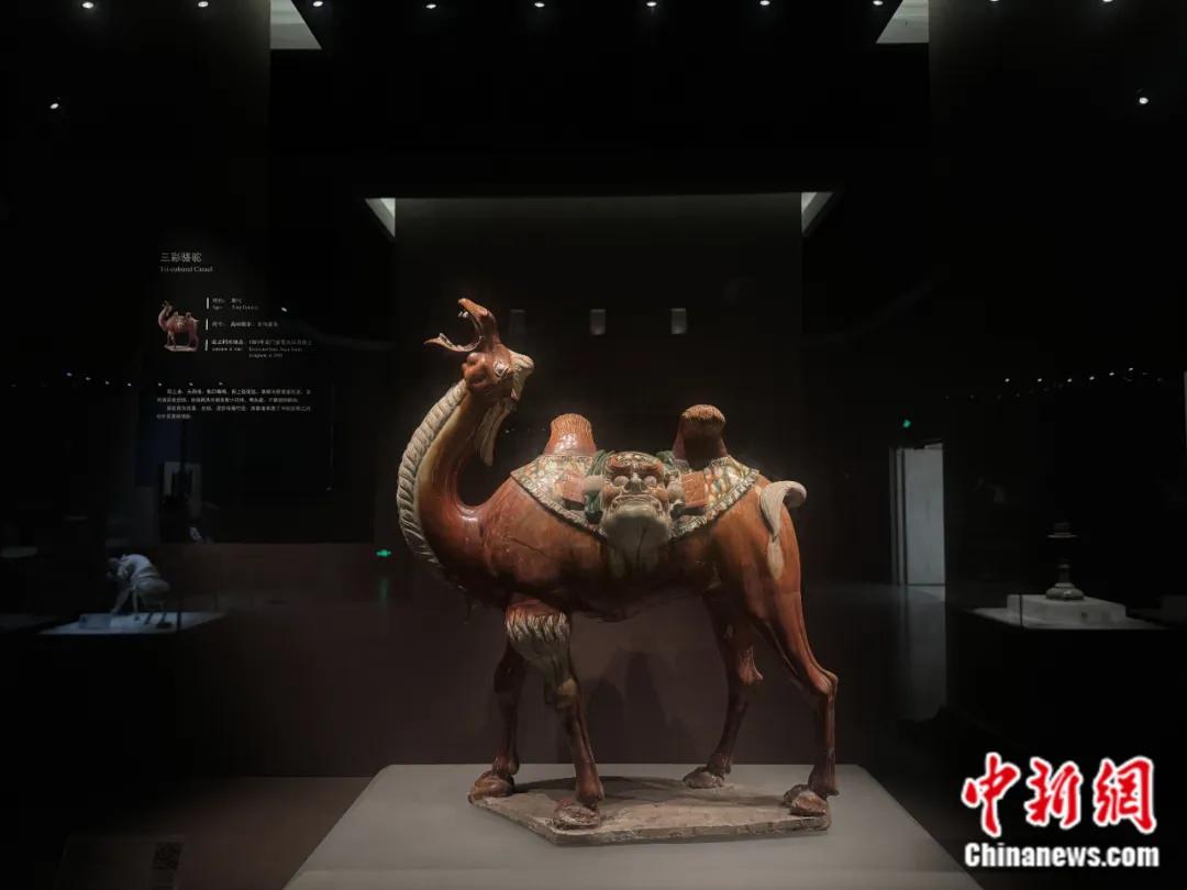 安菩夫妇墓出土三彩骆驼。