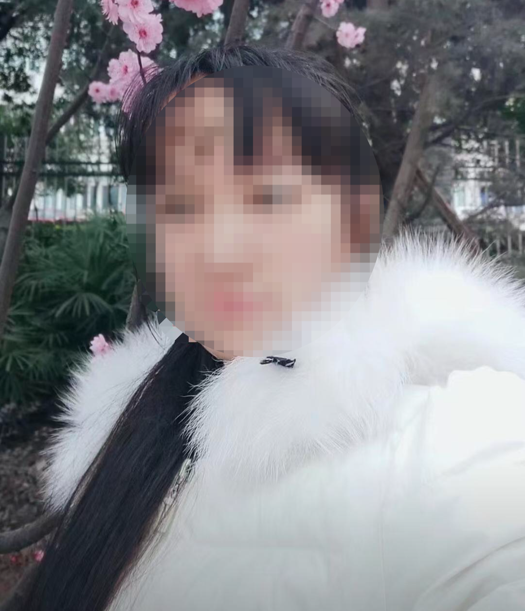 ▲苗苗生前照片