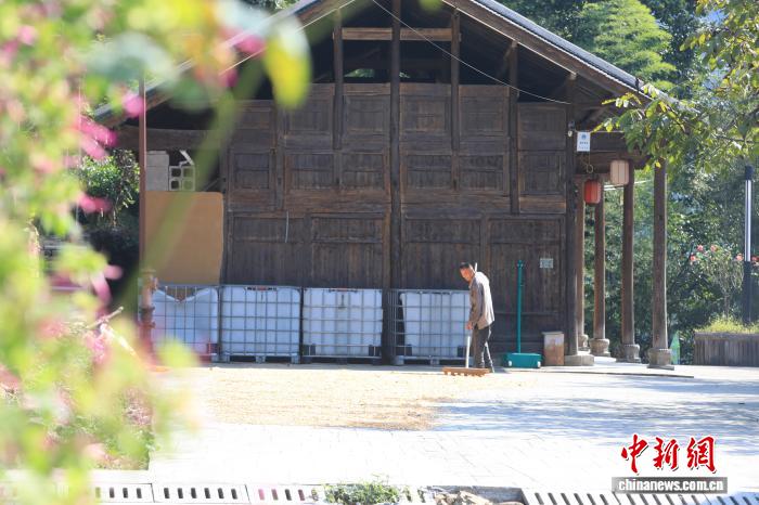圖為村民在院壩里晾曬玉米。胡程 攝