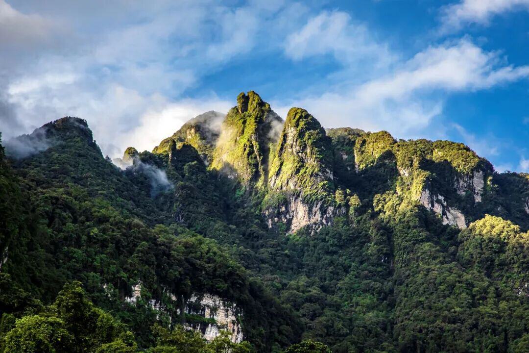 無量山（圖源：景東融媒）