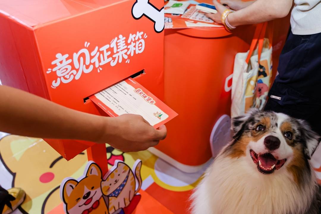 圖為：用戶正在向意見徵集箱投遞意見卡