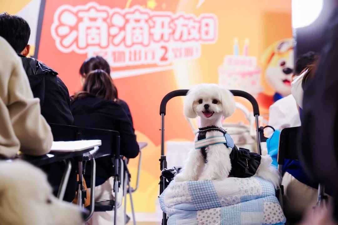 圖為：到場毛孩子代表正在嚐試“交朋友”