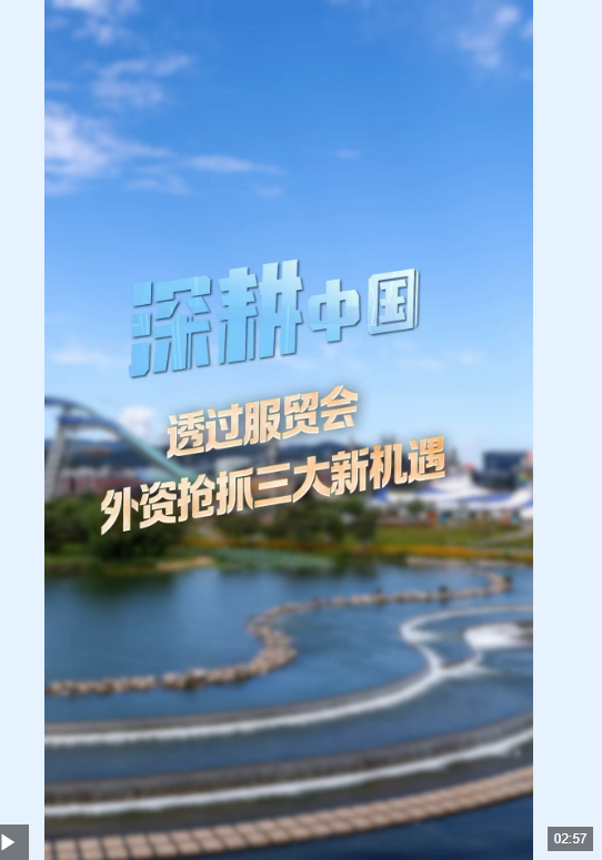 编辑：呼乐乐