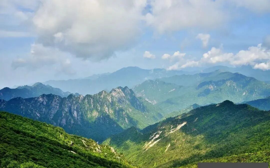 图片来源:中国黄金报