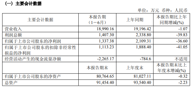 莱伯泰科2026年半年报主要会计数据