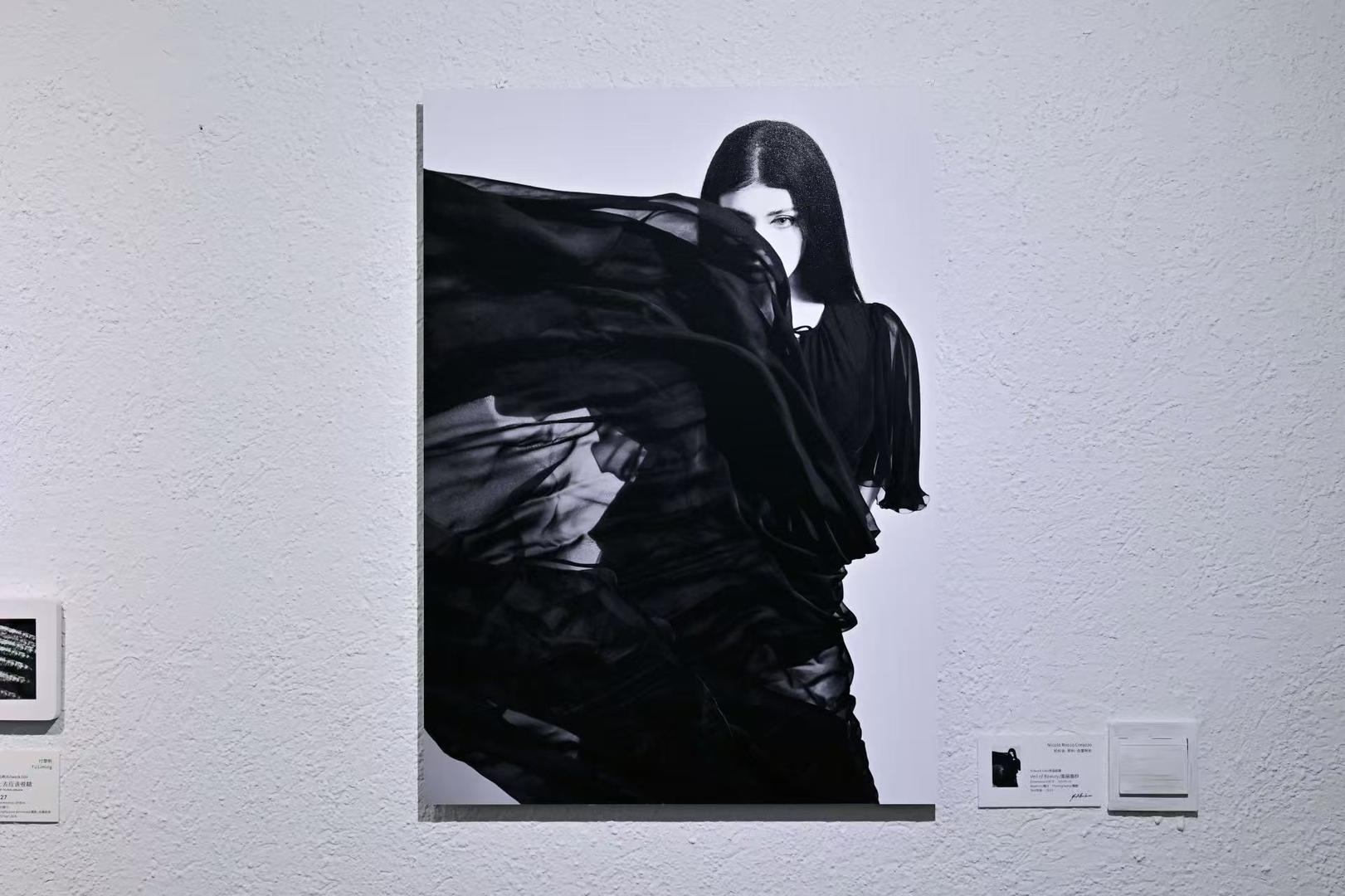 ▲尼科洛作品