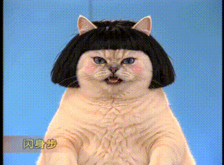 小红书@一坨奶昔丨gif