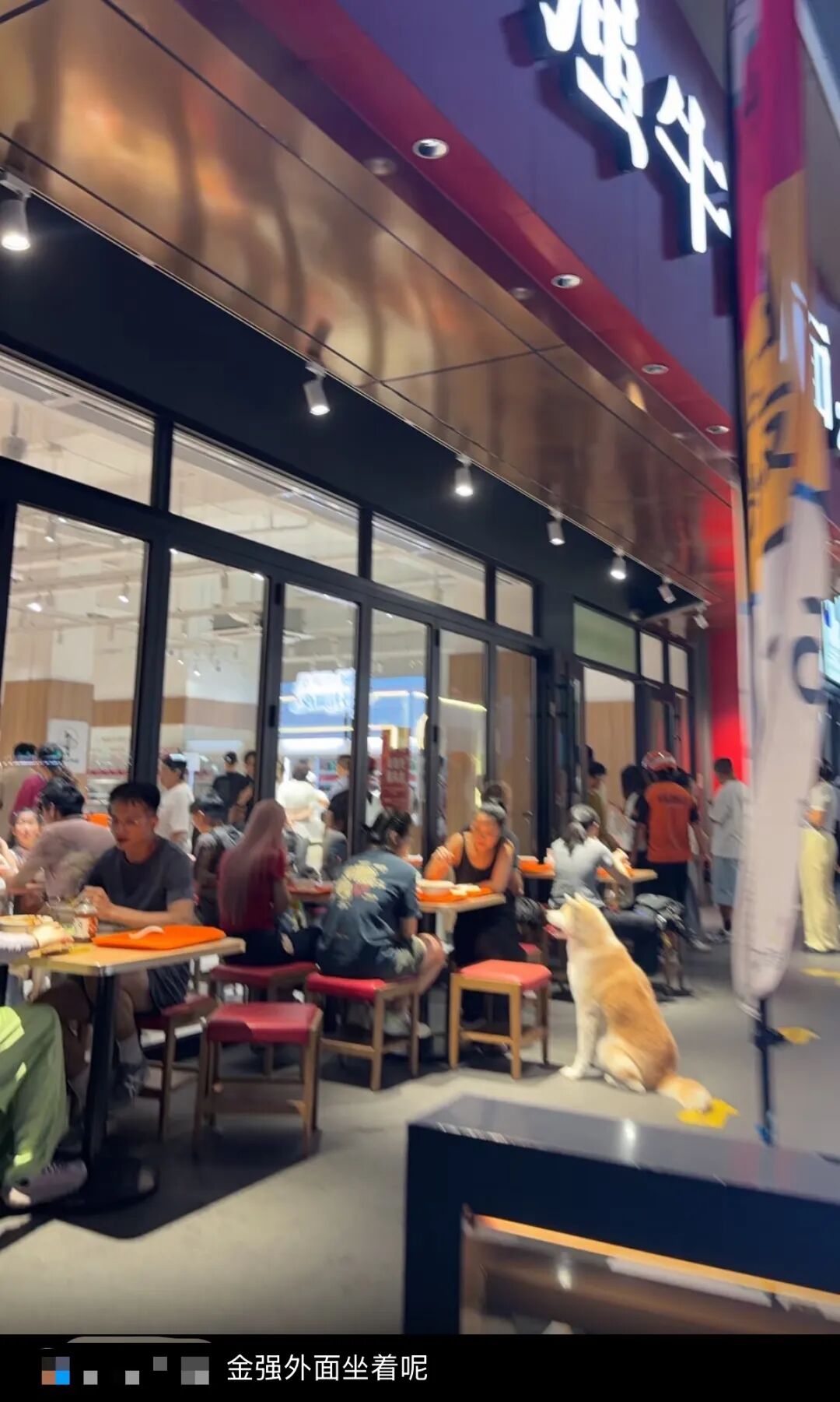 小狗下场，让人无法忽视这远近闻名的肉香了。（图