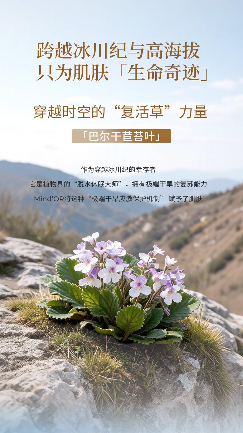 （图注：密朵叶至奢大绿瓶内添加巴尔干苣苔等多重极端环境的珍稀植萃成分）