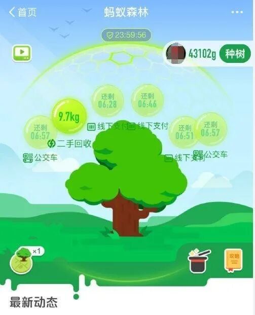 蚂蚁森林上线初期界面